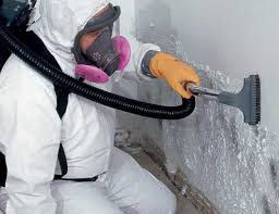 Best Comprehensive Air Testing for Mold Contaminants  in Lumberton, MS